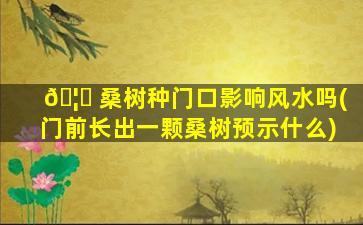 🦋 桑树种门口影响风水吗(门前长出一颗桑树预示什么)